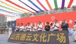 济南张马屯最新爆料新闻,揭秘社区发展背后的故事